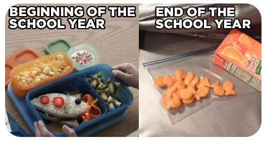 Who can relate? 🙋‍♀️🙋🙋‍♂️Stop stressing about school lunches and let us do the work for you! We serve nutritious, balanced meals with plenty of whole grains, fruits, and veggies. #eatschoollunch