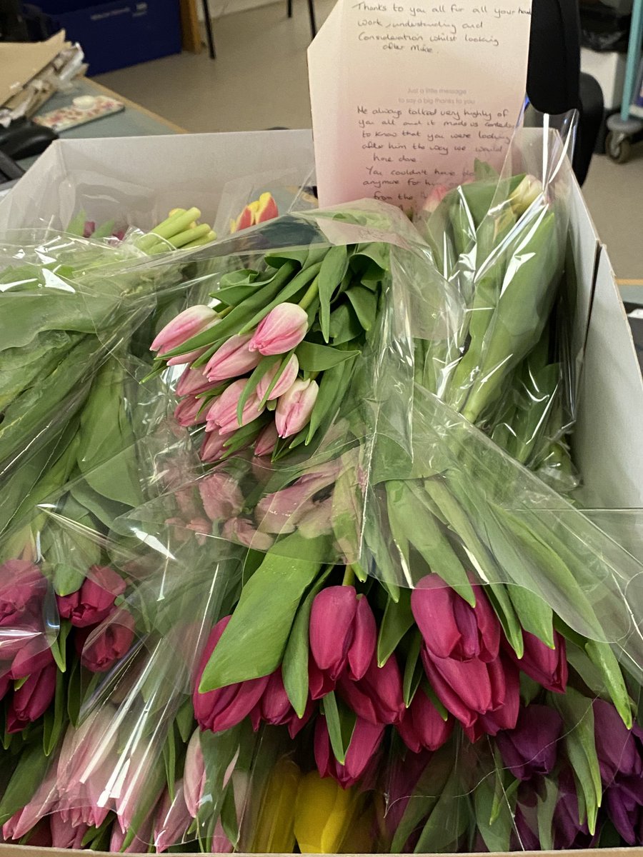 DawnCar19454884's tweet image. Feeling soooo proud and emotional, we received these tulips today for all our nurses on ward 15 from a recently deceased patients family . The patient had told his wife he wanted to buy all his nurses flowers 😘