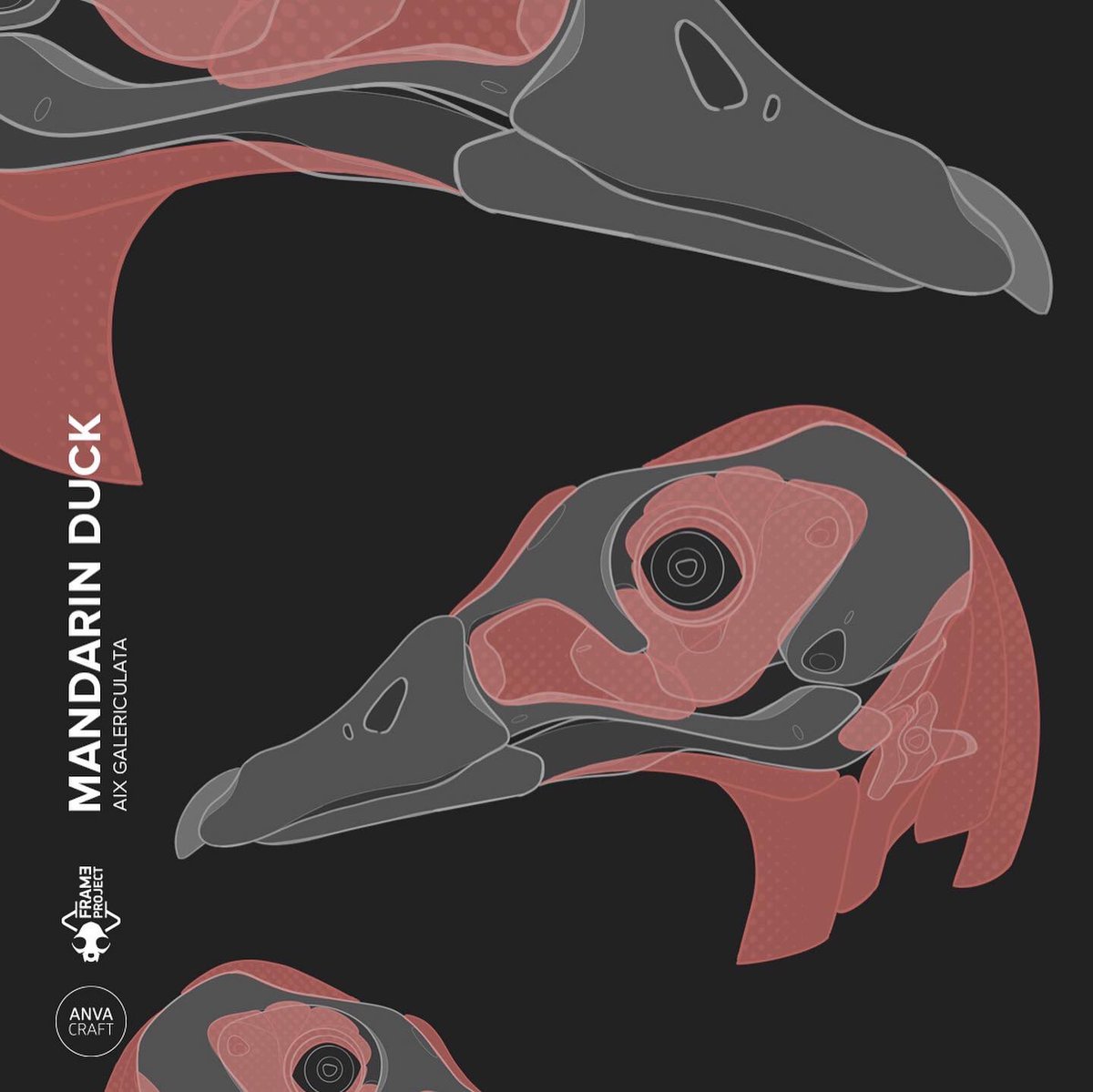 ANVACRAFT's tweet photo. Mandarin duck kwak kwak
#anvacraft #frameproject #mandarinduck #skull #skeleton #mecha #robot #conceptdesign #concept #design #animalskull #robotdesign #cyber #cranium #CG #computergraphics #duck #birdskull #duckskull #sketch #marchofrobots #marchofrobots2021 #Aixgalericulata https://t.co/R8eMmOmVvX