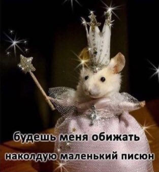 меркантильная (@dasha_boldina) on Twitter photo 