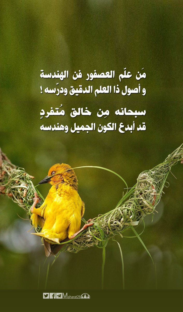 مَن علَّم العصفور فن الهندسة
و أصول ذا العلم الدقيق ودرَّسه !

سبحانه مِن خالق مُتفردٍ 
قد أبدع الكون الجميل وهندسه
#صباح_الخير   <a href="/maharat26/">تنمية المهارات</a>