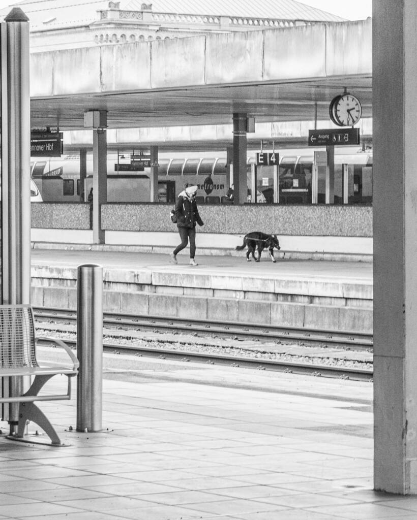 A Dog in Hannover.
#streetphotography #trainstationphotography
#blackandwhite #monochrome #trainspotting
.
.
.
.
.
#thecreative #aroundtheworldpix #ontheroadwithtc #theglobewanderer #forahappymoment #exploringtheglobe #guardiantravelsnaps #seemycity #roa… instagr.am/p/CMk5Mz5hzmF/