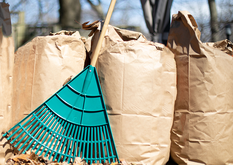 cityofStCharles's tweet photo. Spring-like weather returns to #StCharlesIL this weekend. It’s the perfect time to take advantage of 2 free weeks of yard waste collection. For the weeks of 3/22 &amp; 3/29 bagged yard waste will be picked up on normal refuse collection days for free - no sticker required. https://t.co/FqKpKp5VMG