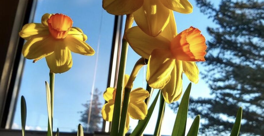 WriterGals's tweet image. WriterGal Tania Casselle is offering
"Writing From Where You Are Zoom Contemplative Creative Writing" - April 8 - 12, 2021. 

Info and registration: 

taniacasselle.com/writing-semina…

#writing #retreats #creativewriting