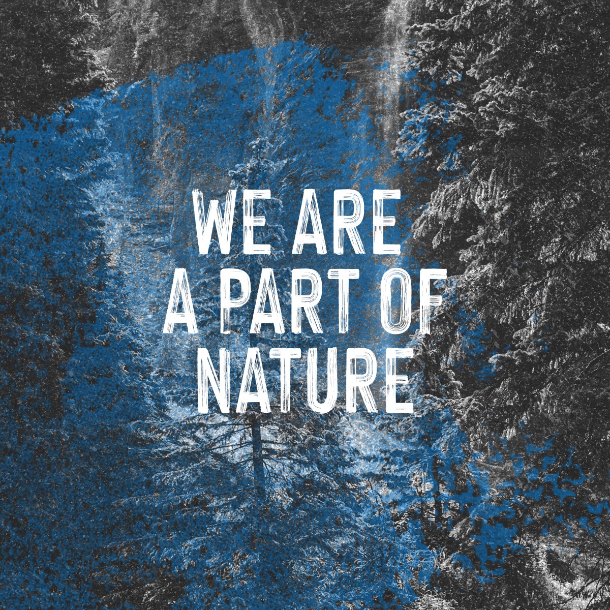 Without nature we die. A simple story. We are not separate from nature. We cannot control it, exploit it or conquer it. So let's start telling a better story. We are part of nature and need to protect it. stories.life/chapter/the-na… #storiesforlife #inservicetolife @WEAll_Alliance