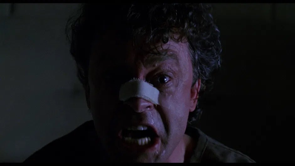 Happy birthday to perfect Brad Dourif. 