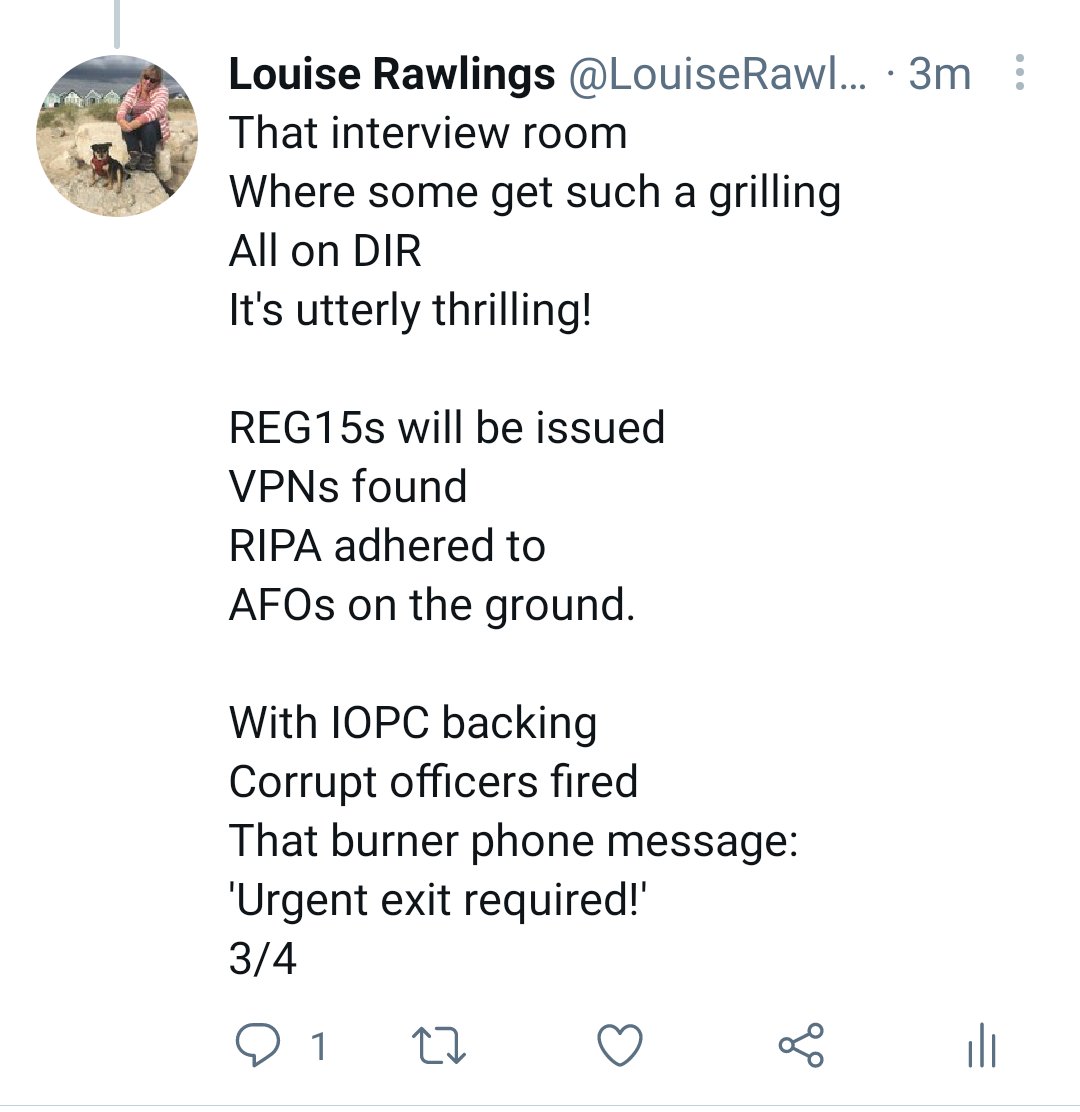 Louise Rawlings tweet media