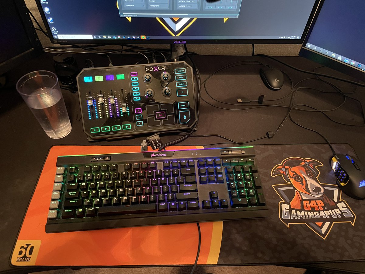 Gaming 4 Pups tweet media