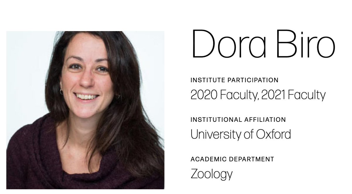 Diverse Intelligences Summer Institute Disi Next Up In Our Disi 21 Faculty Spotlight Dr Dora Biro Dora Biro Professor At The University Of Oxford Her Research Focuses On Collective Animal Behavior Diverse Intelligences Summer Institute Disi Next Up In Our Disi 21 Faculty Spotlight Dr Dora Biro Dora Biro Professor At The University Of Oxford Her Research Focuses On Collective Animal Behavior