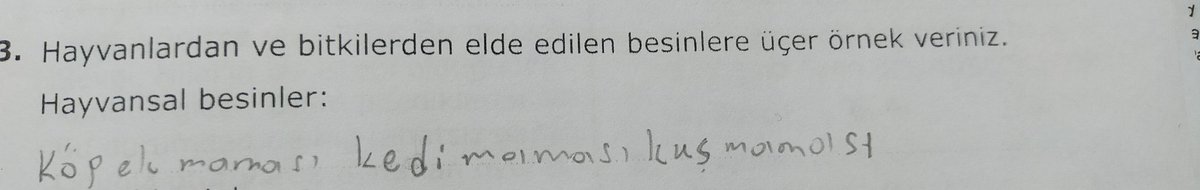 Kardeşimle ödev yapıyoruz