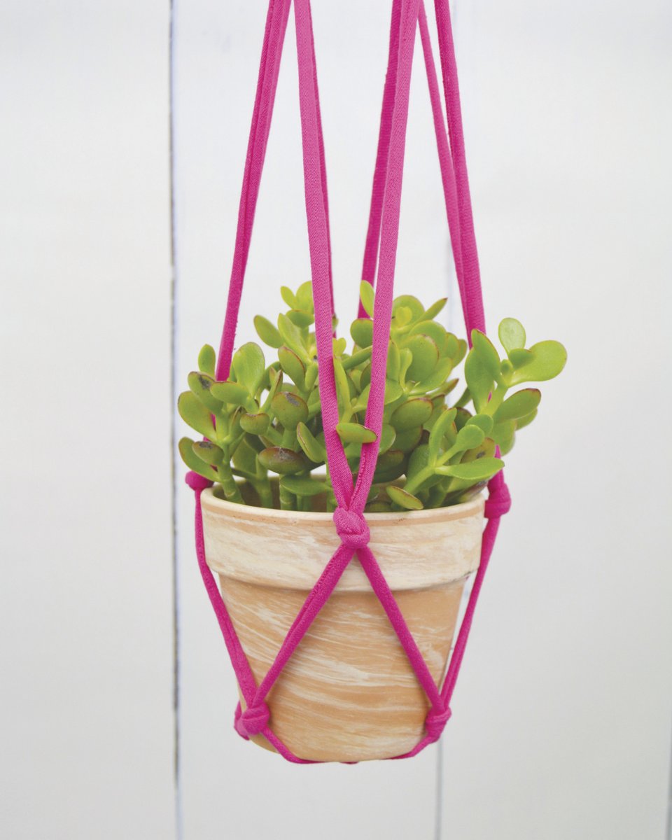 cutoutandkeep's tweet image. 🛠#DIYDecor: Knotted Hanging Planter by Adrianne Surian from DIY T-Shirt Crafts @adamsmedia - cutoutandkeep.net/projects/knott…

@happyhrprojects @simonschuster #diy #howto #crafting #craft #crafttutorial #make #homemade #tutorial #home #homedecor #decor #homediy #interior #plant #plants