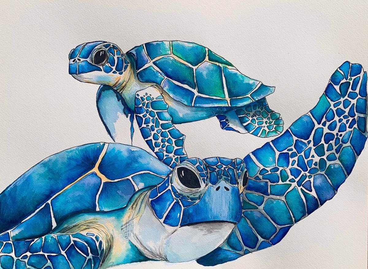 “I think that part of my success so far is thanks to softball.”

<a href="/MeganKleist/">Megan Kleist</a>'s days as a softball player are over, but her art career has just begun.

buff.ly/3eYtwEF