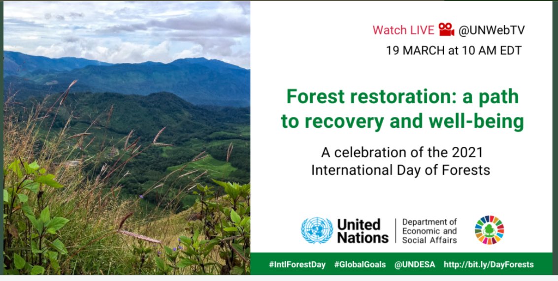 Morton 201 tweet media