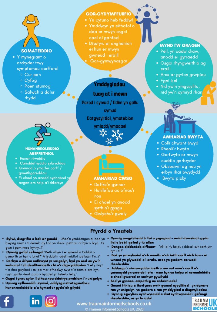 Trauma Informed Schools UK tweet media