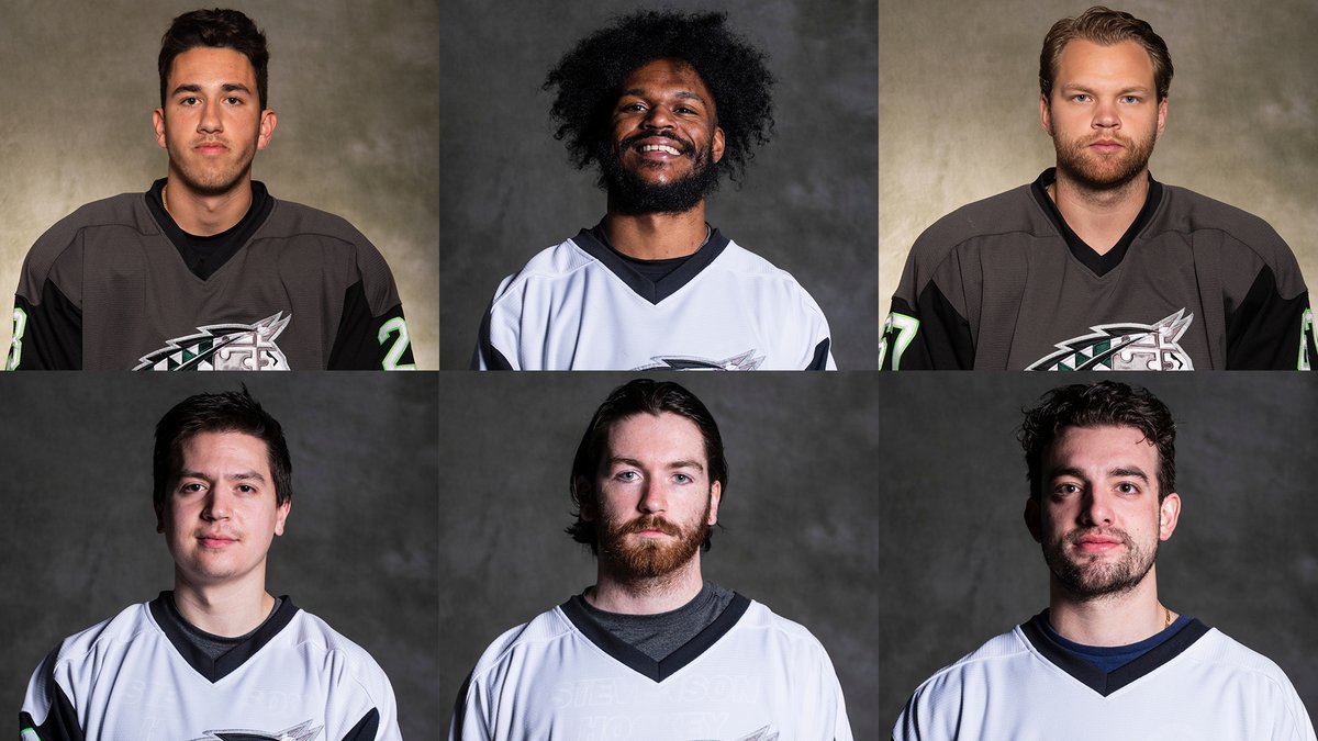 MHKY | <a href="/SUMustanghky/">Stevenson University Men's Hockey</a> to Honor Six Seniors Prior to Tomorrow's Game bit.ly/3cROxhE

#StangNation #MAChky #d3hky
