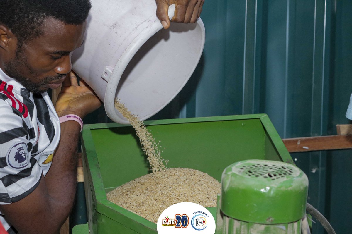 rccgyayaglobal's tweet photo. Grading/Sorting is one of the important stages/processes in Rice Production& Processing. It is essential in determining rice quality& price. It is conducted in ensuring that the rice produced for the market meets the quality requirements of consumer.
#RISE10thAnniversary #RISE20 https://t.co/Z3lINxkZtb
