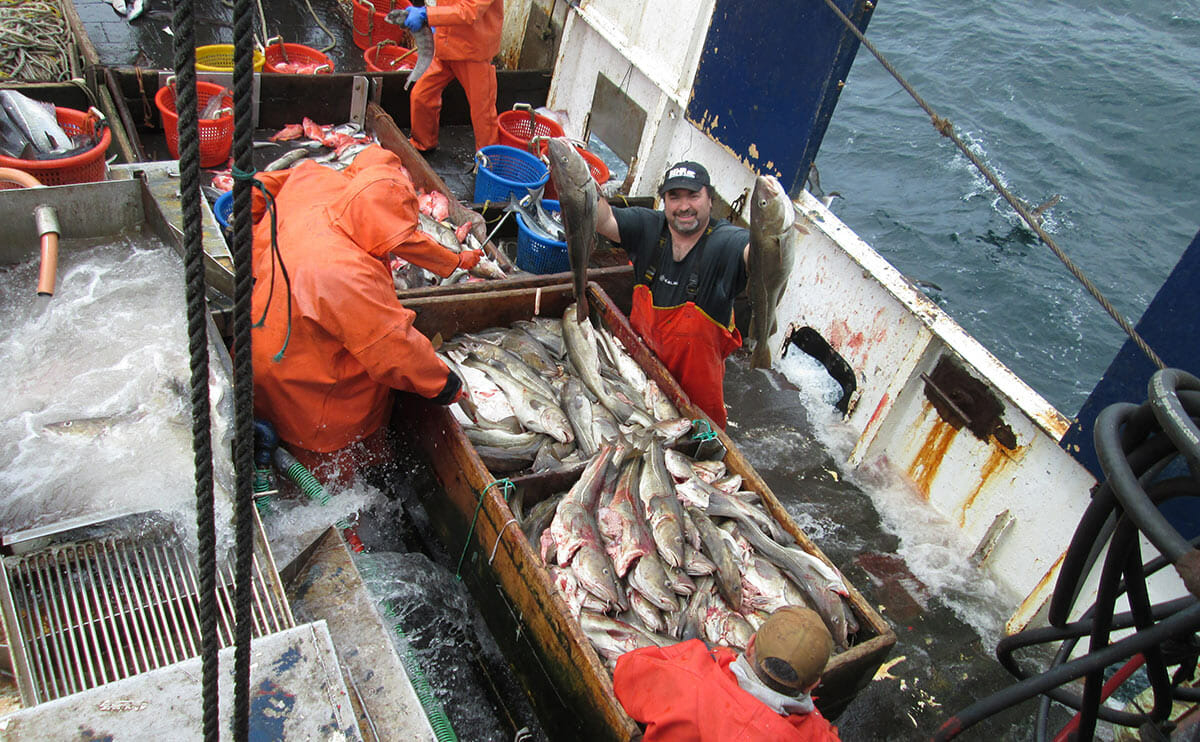 ALL Over Newton LLC (@allovernewton) on Twitter photo This Saturday buy seafood the same day it's caught, straight from the fishermen who caught it. <a href="/capeannfrshctch/">Cape Ann Fresh Catch</a> drops anchor at <a href="/DunnGaherins/">Dunn Gaherins</a> outdoor market! See participating vendors: allovernewton.com/holiday-market #Newton #outdoors #market #beer This Saturday buy seafood the same day it's caught, straight from the fishermen who caught it. <a href="/capeannfrshctch/">Cape Ann Fresh Catch</a> drops anchor at <a href="/DunnGaherins/">Dunn Gaherins</a> outdoor market! See participating vendors: allovernewton.com/holiday-market #Newton #outdoors #market #beer