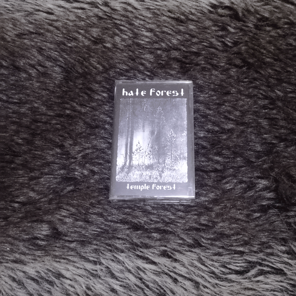 WarProd's tweet image. #StillAvailableForSale

Grab it before is too late.
#LastCopy

#HateForest 🇺🇦 “Temple Forest” 3€

+ postage

#WarProductions
#SupportTheUnderground
#Mailorder
#BlackMetal
#Kvlt
#MusicCassette