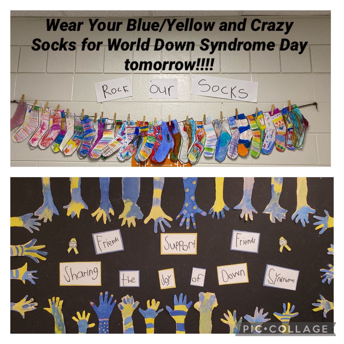 suzannelfraser's tweet photo. Let’s Celebrate with Blue/Yellow and Crazy Socks for World Down Syndrome Day tomorrow!!  Catch the spirit!!!  @StTimothyHCDSB https://t.co/tSHl7qeNjm