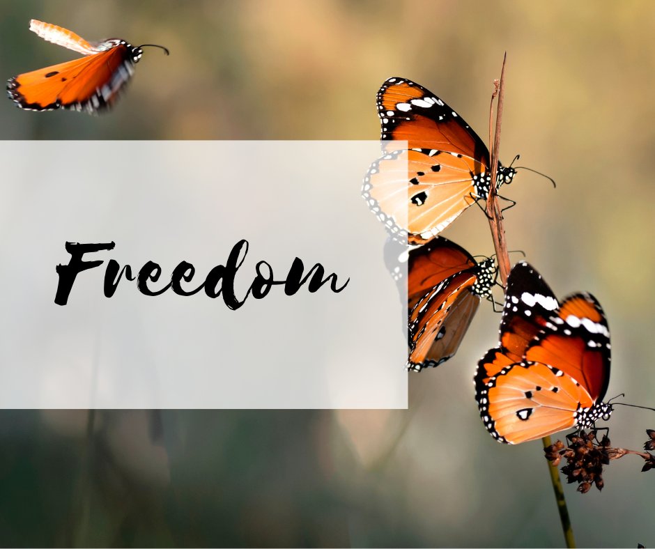 In our last #DayHospice group, resources &amp; information were shared, discussion was had about all the activities participants are looking forward to after restrictions end:
-Having group in person again
-Freedom to move around
Call us for information on Day Hospice: 905-240-4522.