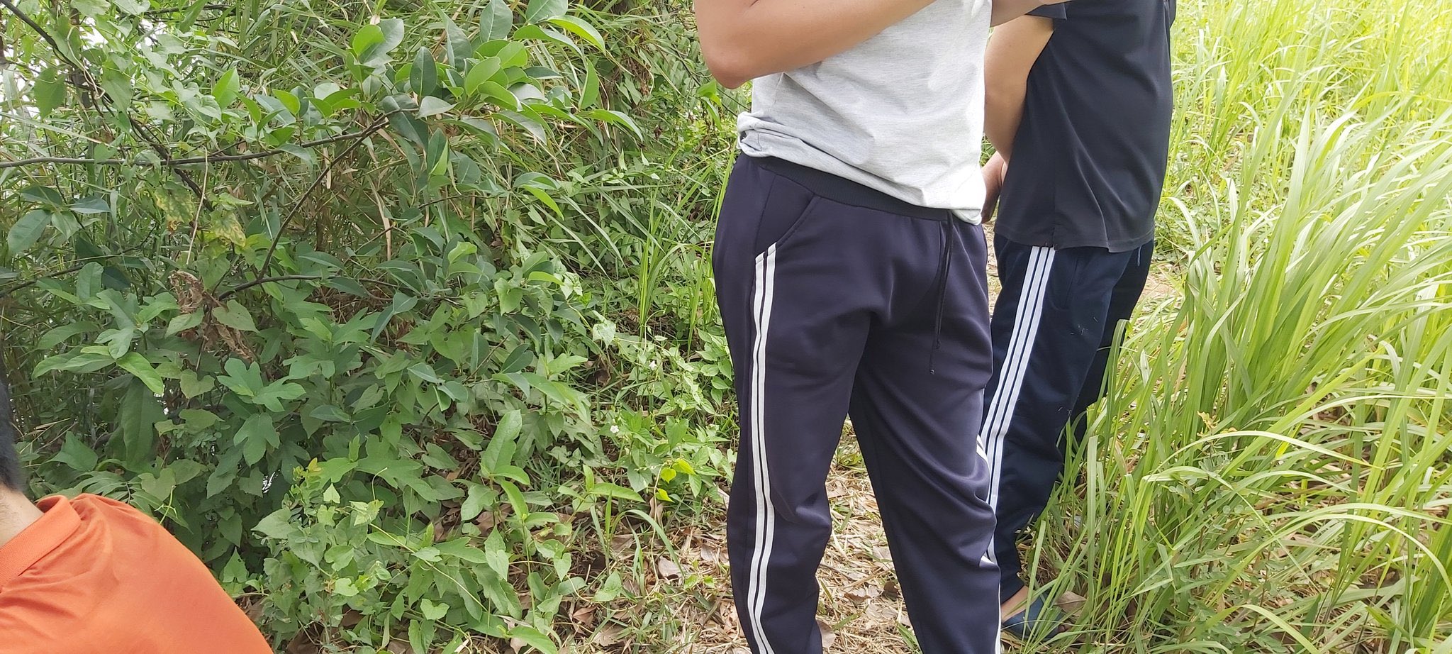 cambodia secret .com(tytomeng) on Twitter: "គិរីរុម្យយើងនឹង ធម្មជាតិល្អស្រស់ ម៉ោង5.30