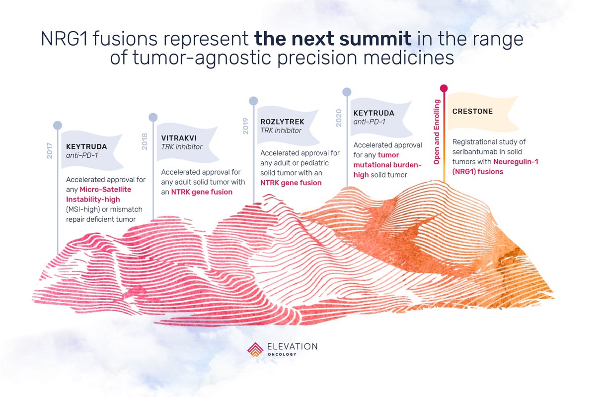 elevationonc's tweet image. Snapshot from our latest #TrailNotes entry: Emerging gene fusion targets like #NRG1 fusions advance the potential for #tumoragnostic #precisionmedicines &amp;gt;&amp;gt;     bit.ly/3bd44Zv