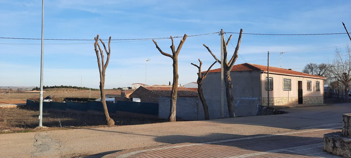aytsantamariall's tweet photo. .

 Nuevo pavimento de PVC en la pista polideportivo

Ampliacion del consultorio local con una nueva habitación .

Trabajos de poda  asi como la limpieza y retirada de árboles rotos por los efectos de la borrasca Filomena

Compra de un nuevo vehículo para los trabajos del Ayunt. https://t.co/yfk85ZL3Gr