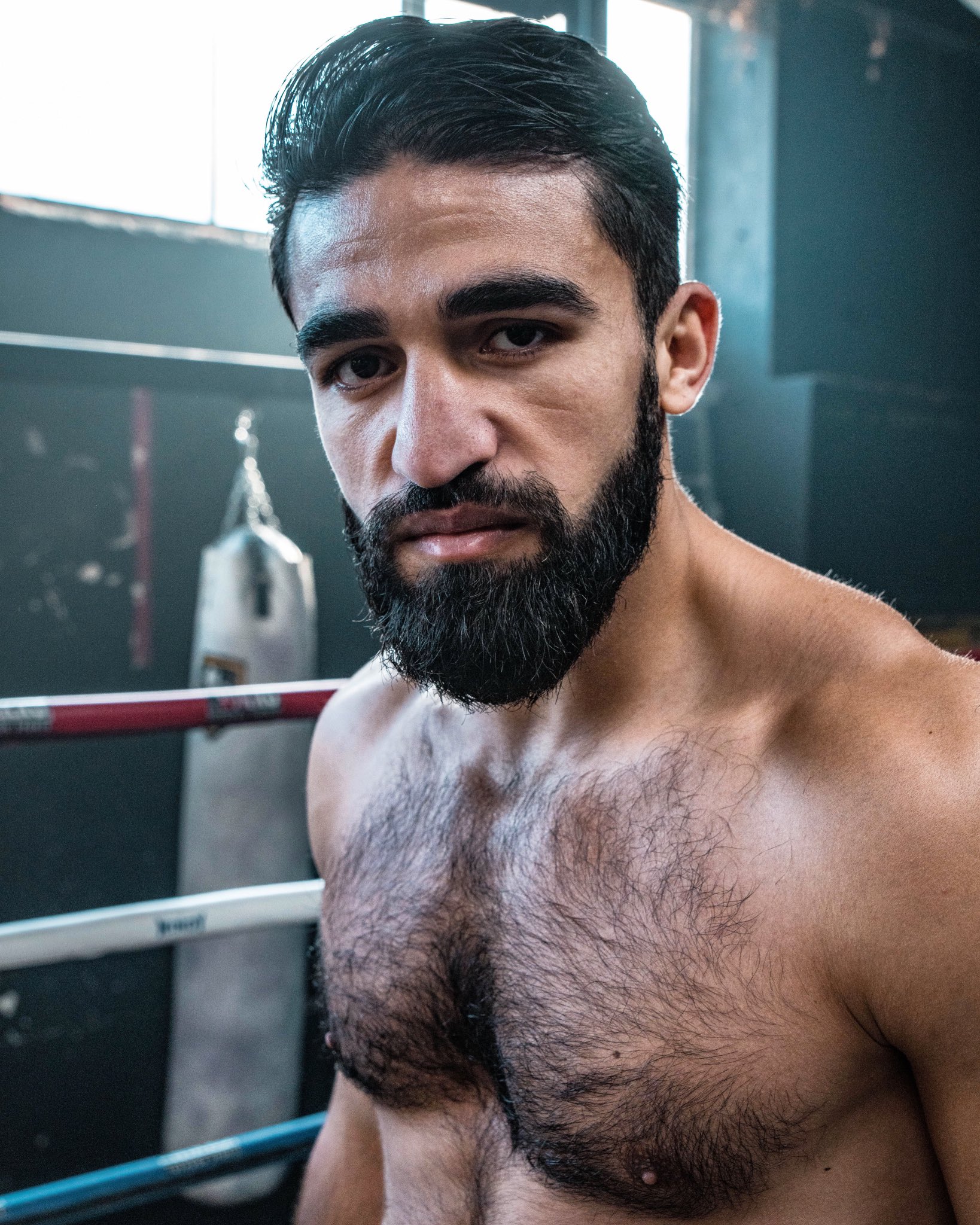 Armenian Hairy armenian-hairy