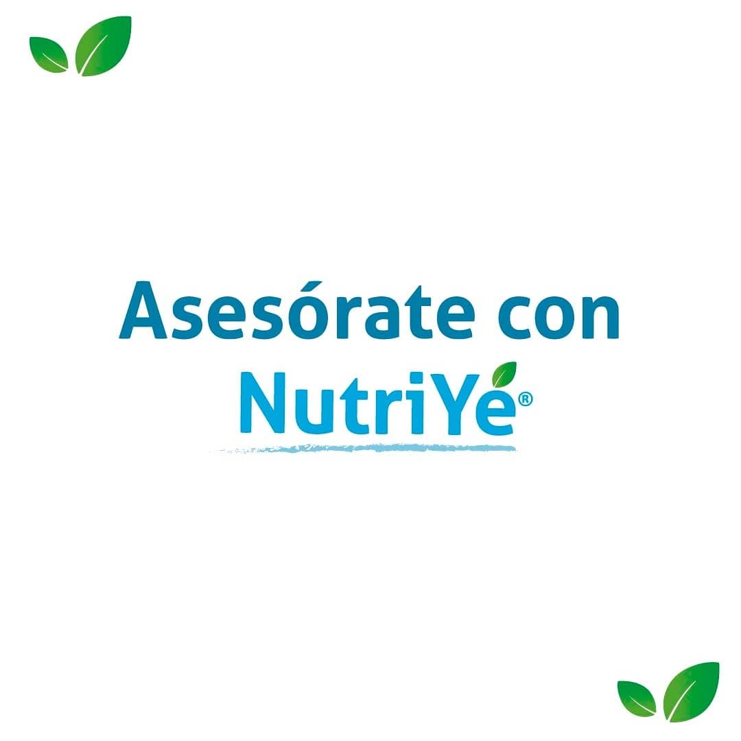 Nutriye's tweet photo. En NutriYé Laboratorio te apoyamos con todo el proceso para que reconozcas la vida de útil de tu producto.

📲 Envíanos un DM para más información.
¡Es un placer poder apoyar a grandes proyectos! ⭐️

#anaquel #mexico #nutriyé #mercado #productos #Guadalajara https://t.co/TmBDNsreoC