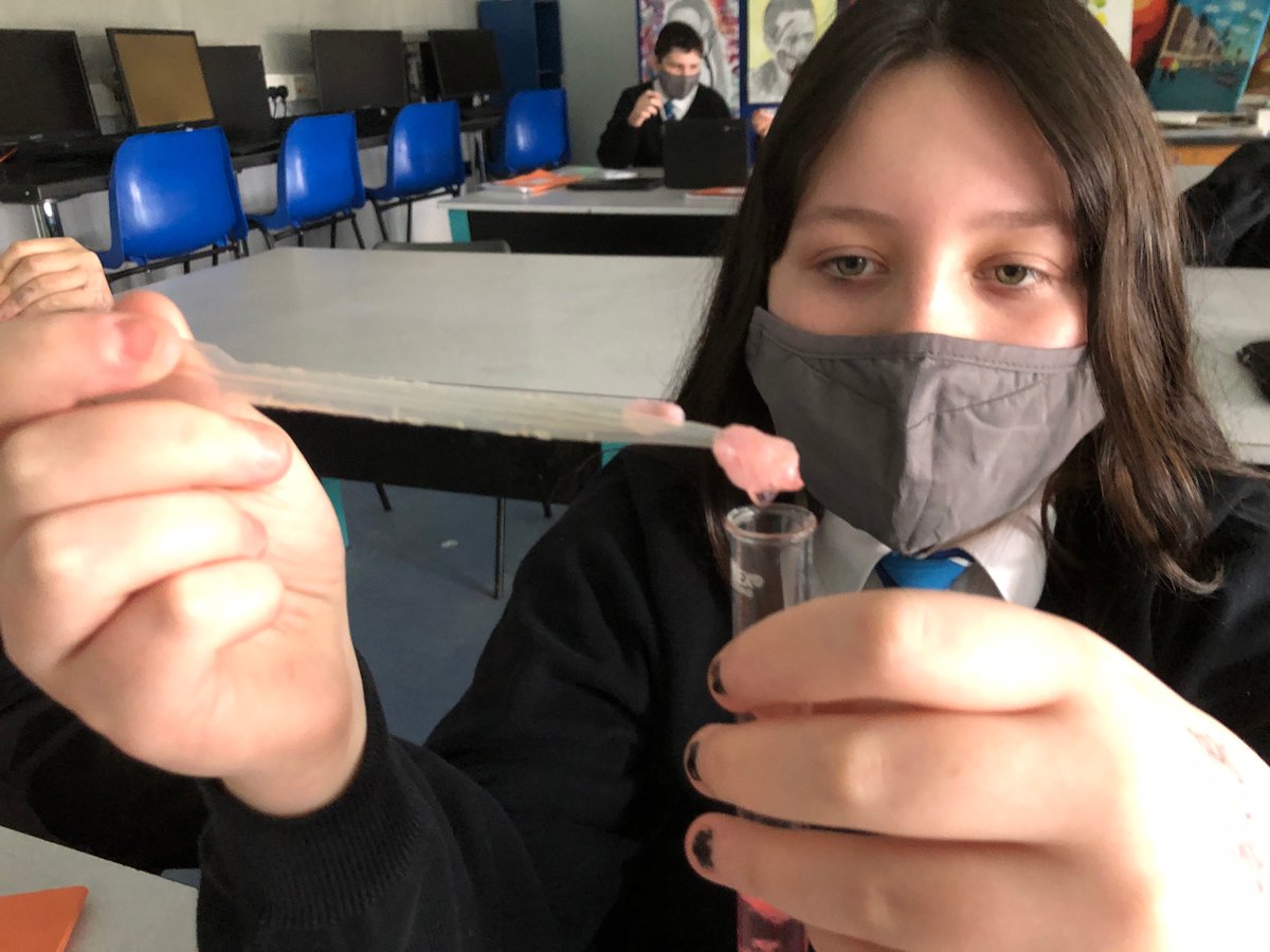 NorhamScience's tweet image. Absolutely loving being back in the classroom - DNA extraction always a winner! @norhamhigh