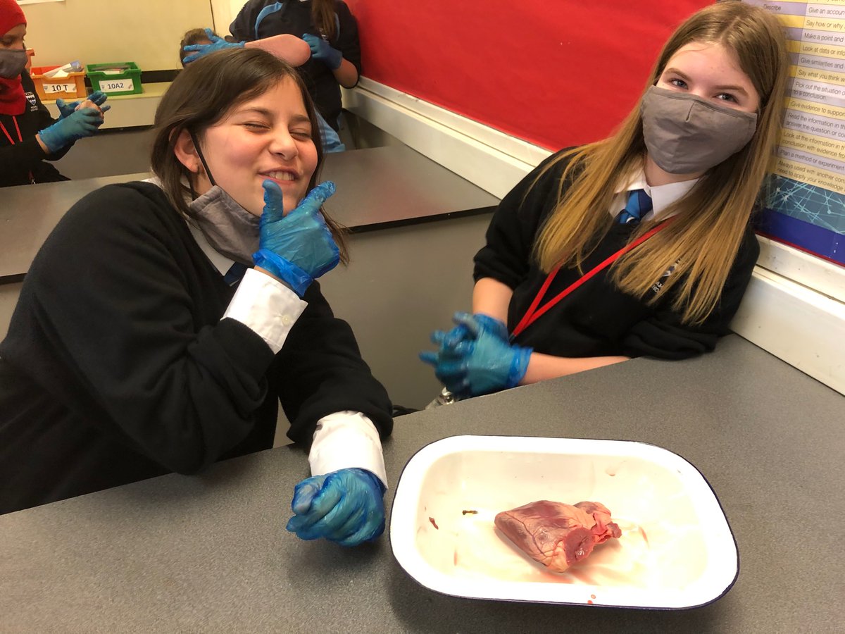 NorhamScience's tweet image. Science club heart dissections - you cant keep Norham pupils down for long, even with masks you can see the smiles! 🥰@norhamhigh