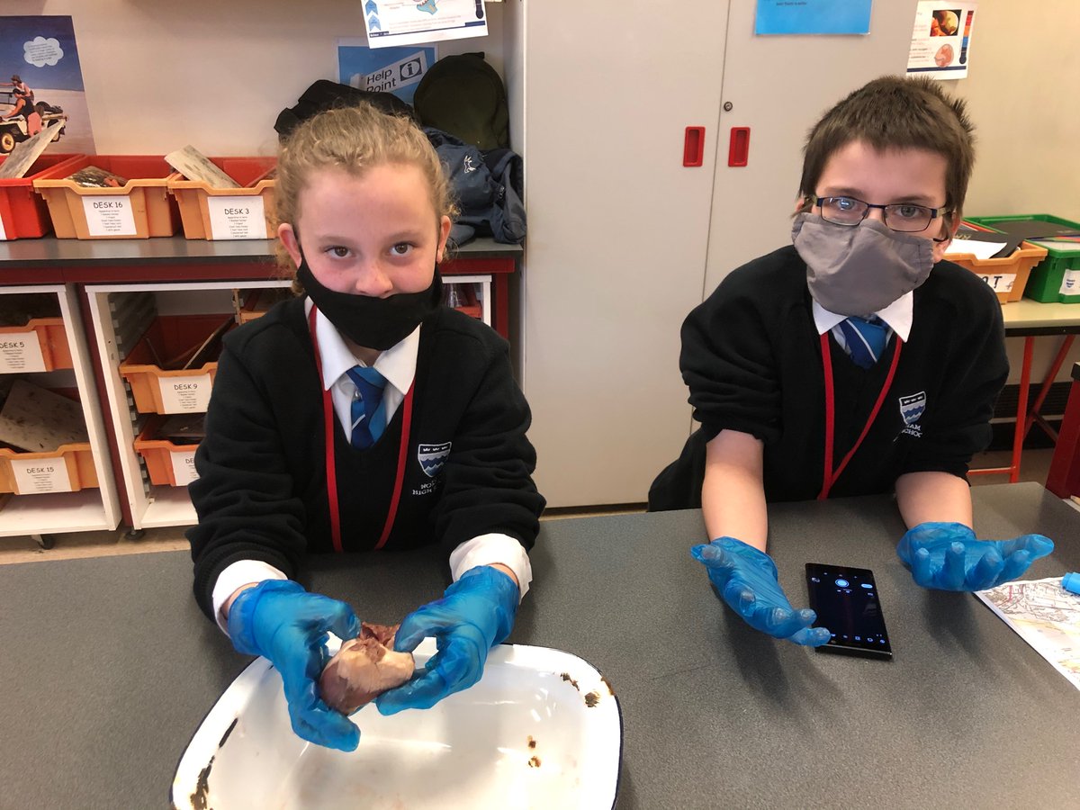 NorhamScience's tweet image. Science club heart dissections - you cant keep Norham pupils down for long, even with masks you can see the smiles! 🥰@norhamhigh