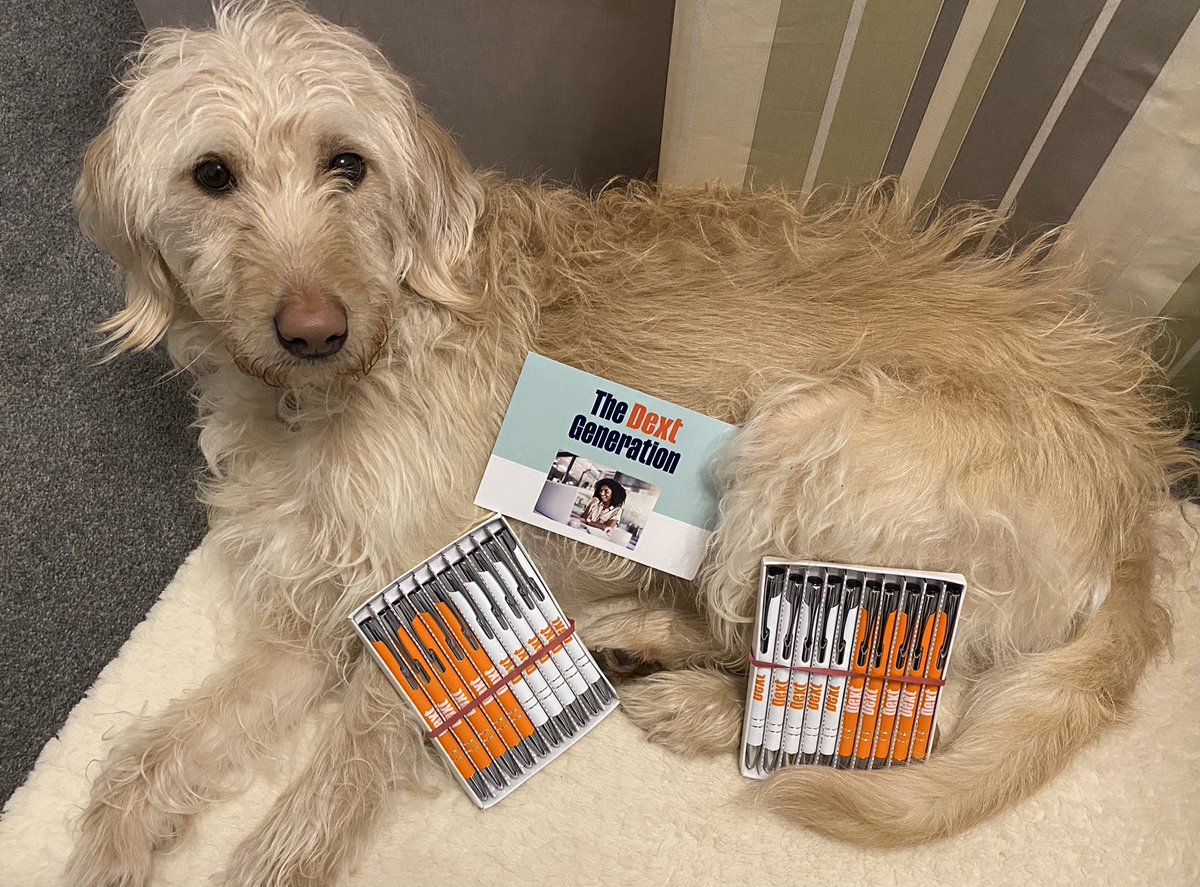 Francisbookkeep's tweet photo. Thanks for the swag, our little helper likes them #DextGeneration @dextofficial https://t.co/iLkaeVNqCA