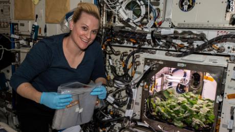 CaraSantaMaria's tweet photo. Microbes unknown to science until now, discovered on the International Space Station! π€―
#MicrobesinSpace #ISS #Microbiology #SpaceStation #SpaceBacteria #SpacePlants
https://t.co/WPysNd2M10 https://t.co/oiQdjmyWy1