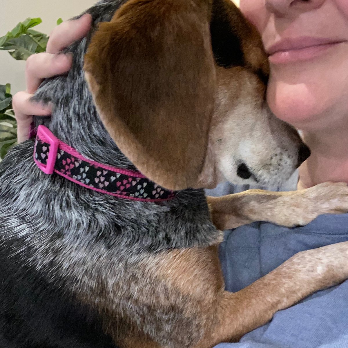 presleybaby5's tweet photo. Sometimes a mama hug is what you need on a rainy day 💞 https://t.co/aJbYKeTdEs