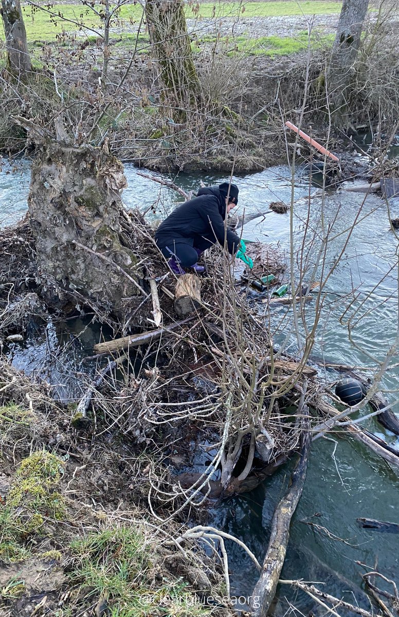 A special shoutout to our sustainability team and all the hard work they do! 💪🏼 
Do you participate in beach cleanups? 👀 If you do, be sure to send us your favorite pics or tag us @clearblueseaorg! 😄

#ClearBlueSea #CBSea #OceanConservation #OceanConservancy #plasticpollution