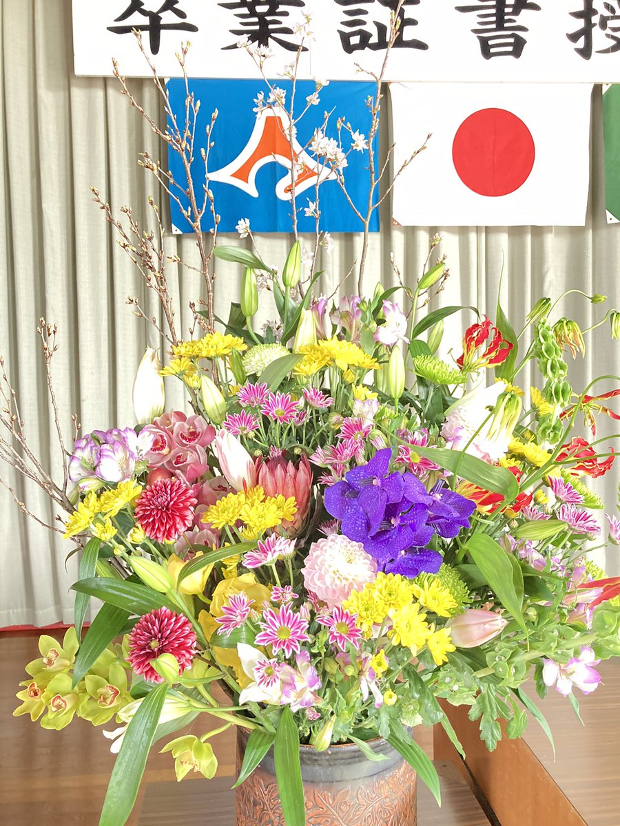 演台花 演台花
