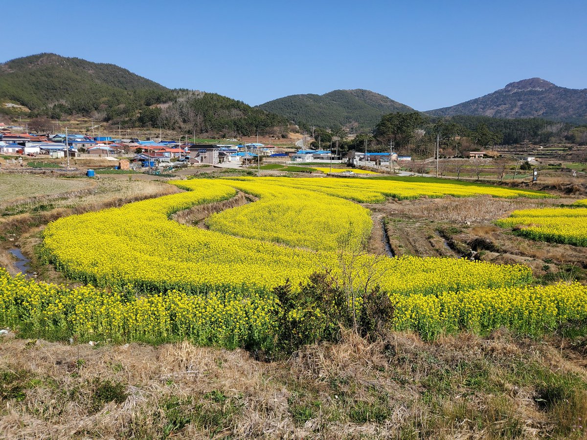 냥이네 tweet media