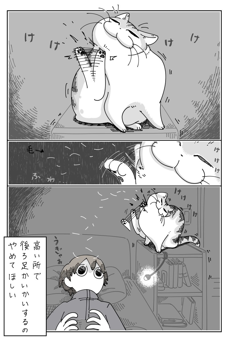 高い所でかいかい
https://t.co/CGSHHIWj1o 