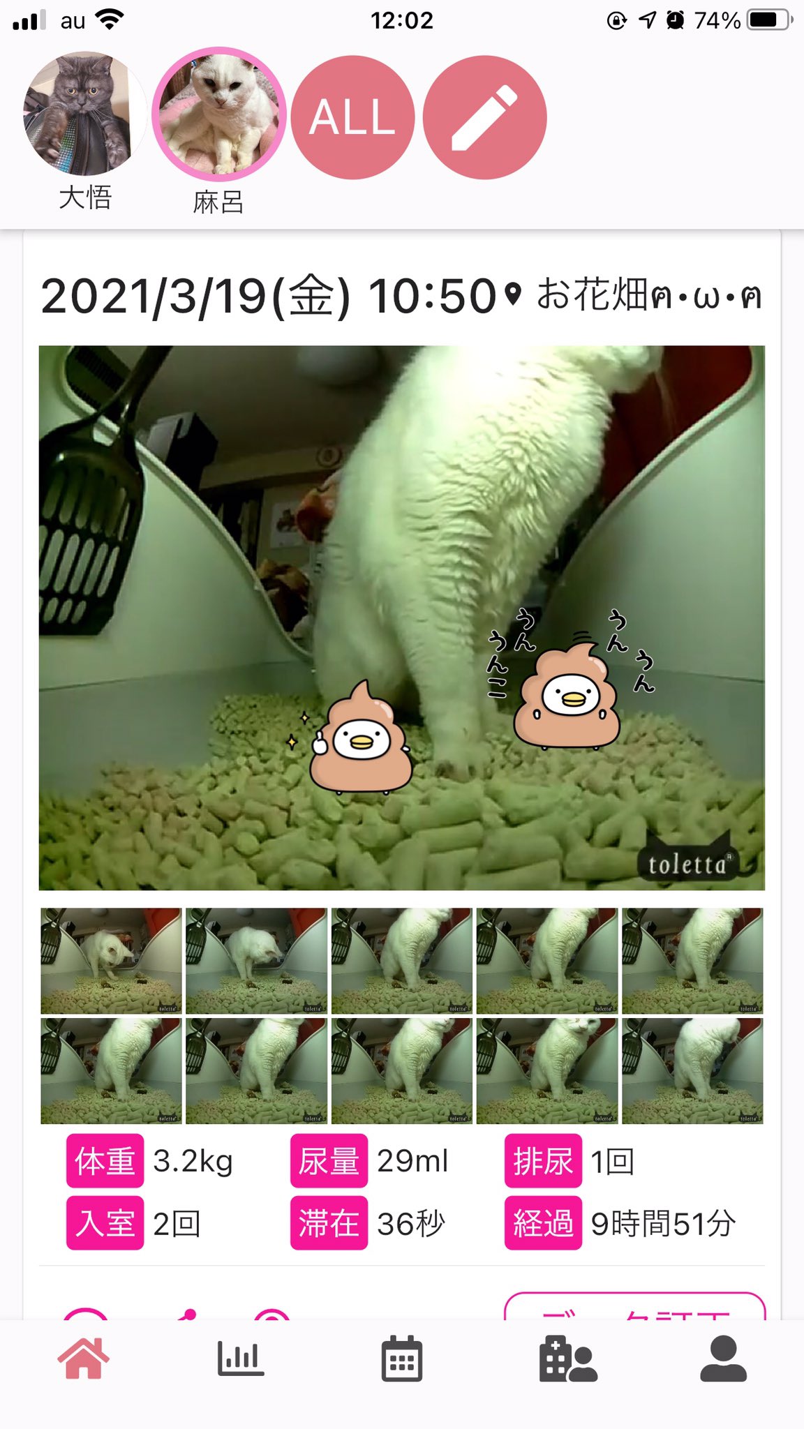 Toletta Cats トレッタキャッツ トイレ移行って大変ですよね ねこちゃんの健康の為にもいち早くトレッタを使ってもらいたいところ こんなお役立ち記事がありますので トイレ移行にお悩みの方は是非一度読んでみてください トレッタ Toletta