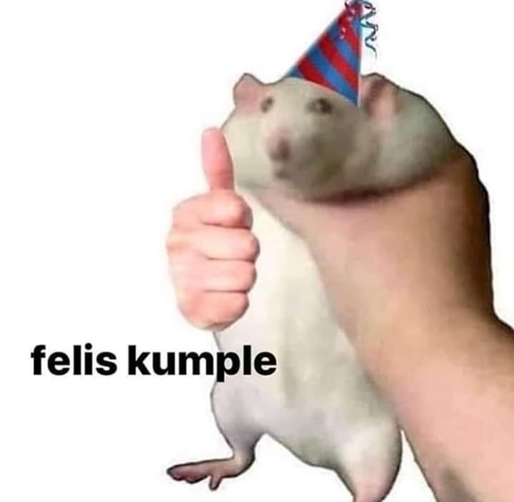 CyberPUwU's tweet photo. @katsu_g0 Feliz CuM https://t.co/BNRT05X3TH