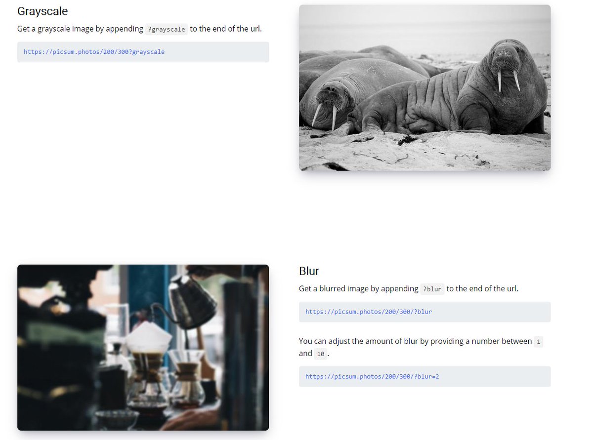 tips__web's tweet image. スタイリッシュなダミー画像をURLの埋め込みだけで自動生成できるサイト💡
picsum.photos
これはなかなかいいぞ...!!!!
今度からこれ使うわ😌
#デイトラ
#駆け出しエンジニアと繋がりたい 
#プログラミング初心者