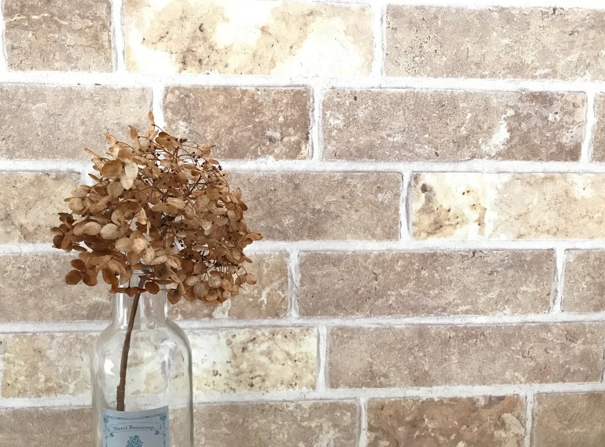 千葉県柏市 公式 住環境再生課 南柏ペレニアルガーデンにある 枯れ姿 も美しい 宿根草 たち モナルダ 暑さに強く元気に咲く 茶色の丸い花がらもかわいい アナベル 北アメリカ原産のアジサイ 花の形そのままに枯れる 枯れた花に近い薄茶色の