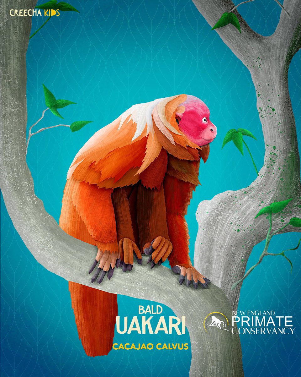 Creecha Kids tweet media