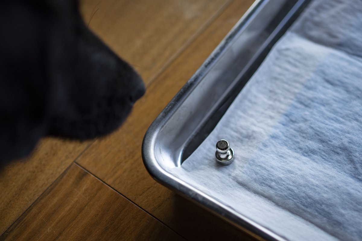 46works ナカジマシロウ 犬用のトイレトレー って パステル色っぽいプラスチックのがほとんどでイマイチ で色々探して良いのを発見 キッチン用のバットで 市販トイレ シートにぴったりサイズ これを 取手付きマグネットで固定 良き ステンレストレー 46works ナカジマシロウ 犬用のトイレトレー って パステル色っぽいプラスチックのがほとんどでイマイチ で色々探して良いのを発見 キッチン用のバットで 市販トイレ シートにぴったりサイズ これを 取手付きマグネットで固定 良き ステンレストレー