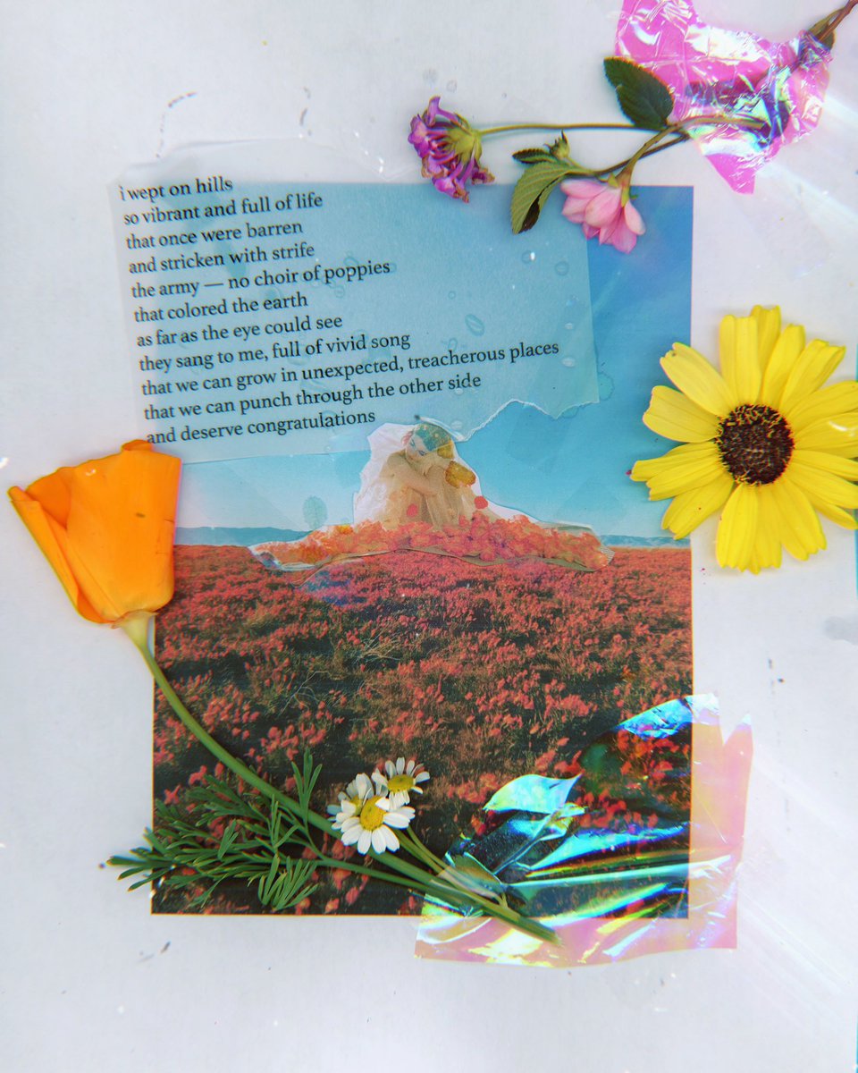 Let’s superbloom at midnight 🌼✨