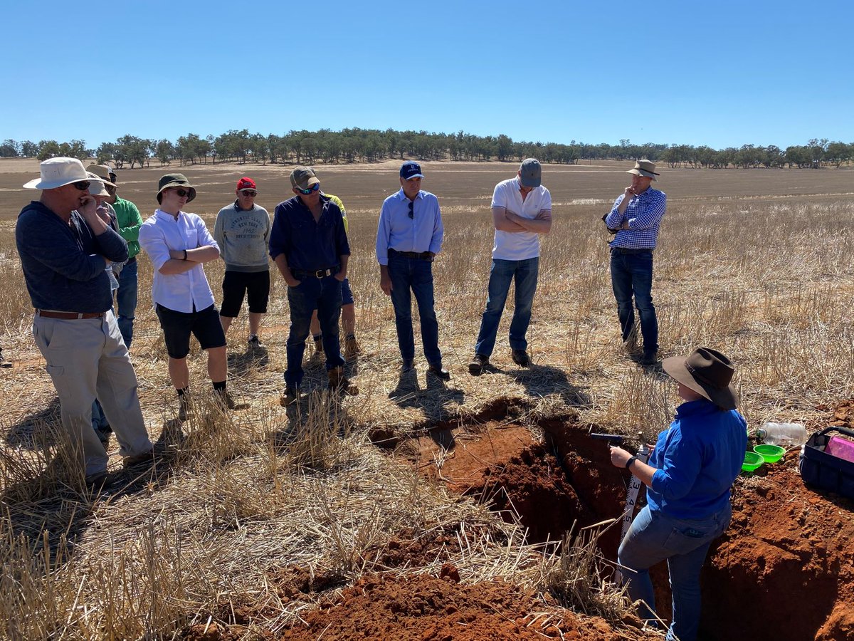 Riverine Plains tweet media