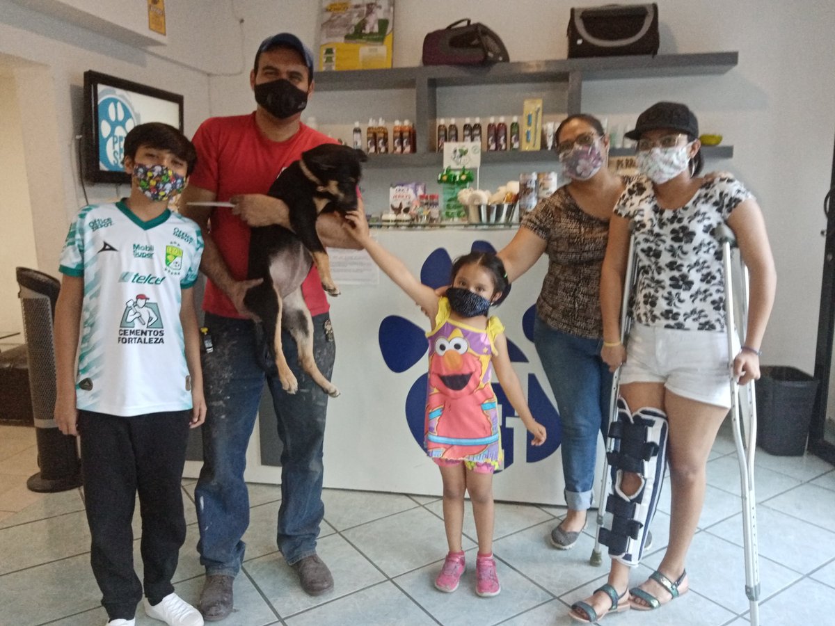 iguanomayor's tweet image. Hace unos minutos #Dulce fue adoptada por una bonita familia. Gracias a #PetSet #Panorama por las atenciones médicas y cuidados. 
#AdoptaNoCompres #Esteriliza
