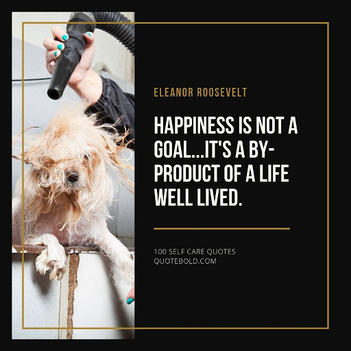 FluentinFuckit's tweet photo. https://t.co/0p56Fhmluo