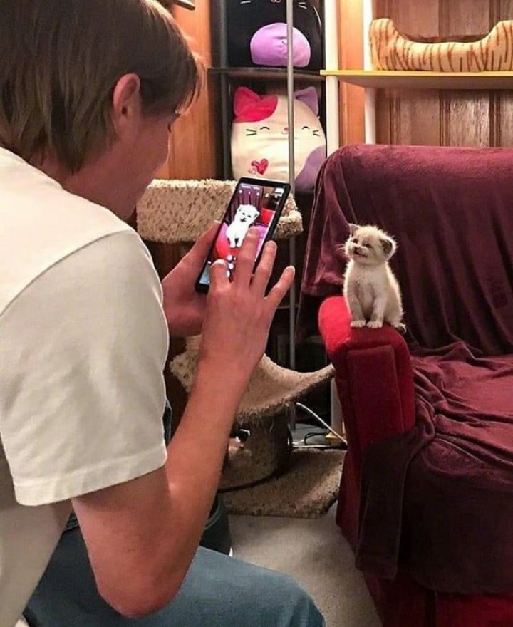 TodoDiaGatinhos's tweet photo. https://t.co/n9KOEluF0u